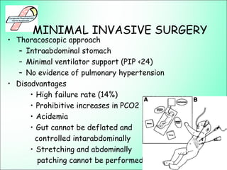 MINIMAL INVASIVE SURGERY
• Thoracoscopic approach
– Intraabdominal stomach
– Minimal ventilator support (PIP <24)
– No evidence of pulmonary hypertension
• Disadvantages
• High failure rate (14%)
• Prohibitive increases in PCO2
• Acidemia
• Gut cannot be deflated and
controlled intarabdominally
• Stretching and abdominally
patching cannot be performed.
 