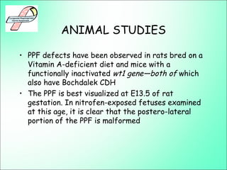 ANIMAL STUDIES
• PPF defects have been observed in rats bred on a
Vitamin A-deficient diet and mice with a
functionally inactivated wt1 gene—both of which
also have Bochdalek CDH
• The PPF is best visualized at E13.5 of rat
gestation. In nitrofen-exposed fetuses examined
at this age, it is clear that the postero-lateral
portion of the PPF is malformed
 