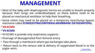 MANAGEMENT
• Most of the baby with diaphragmatic hernia are unable to breath properly
because their lungs are underdeveloped, so these babies need to be
placed on mechanical ventilator to help their breathing.
• Some infant may need to be placed on a temporary heart/lungs bypass
mechaine called ECMO(EXTRACORPOREALMEMBRANE OXYGENATION).
VA-ECMO
VV-ECMO
• VV-ECMO is provide only respiratory supports .
• Drainage of deoxygenated from femoral artery
• Pass through a membrane where gas exchanges take place.
• Return back to the venous side & delivery of oxygenated blood in to the
Juglar veins. MS. ANEETA SHARMA
M.Sc. NURSING TUTOR( CHN)
 
