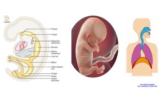 MS. ANEETA SHARMA
M.Sc. NURSING TUTOR( CHN)
 