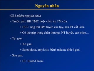 Nguyên nhân

Có 3 nhóm nguyên nhân
- Trước gan: HK TMC hoặc chèn ép TM cửa.
       + HCC, ung thư BM tuyến của tụy, sau PT cắt lách.
       + Có thể gặp trong chấn thương, NT huyết, can thiệp…
- Tại gan:
       + Xơ gan.
       + Sarcoidose, amylosis, bệnh máu ác tĩnh ở gan.
- Sau gan:
       + HC Budd-Chiari.
 