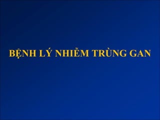 BỆNH LÝ NHIỄM TRÙNG GAN
 