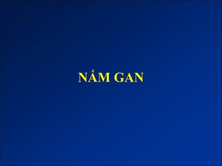 NẤM GAN
 