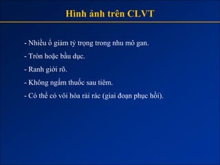 Hình ảnh trên CLVT

- Nhiều ổ giảm tỷ trọng trong nhu mô gan.
- Tròn hoặc bầu dục.
- Ranh giới rõ.
- Không ngấm thuốc sau tiêm.
- Có thể có vôi hóa rải rác (giai đoạn phục hồi).
 