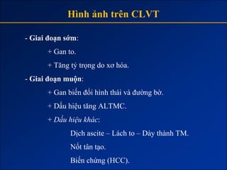 Hình ảnh trên CLVT

- Giai đoạn sớm:
      + Gan to.
      + Tăng tỷ trọng do xơ hóa.
- Giai đoạn muộn:
      + Gan biến đổi hình thái và đường bờ.
      + Dấu hiệu tăng ALTMC.
      + Dấu hiệu khác:
             Dịch ascite – Lách to – Dày thành TM.
             Nốt tân tạo.
             Biến chứng (HCC).
 