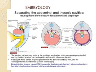 EMBRYOLOGY
 