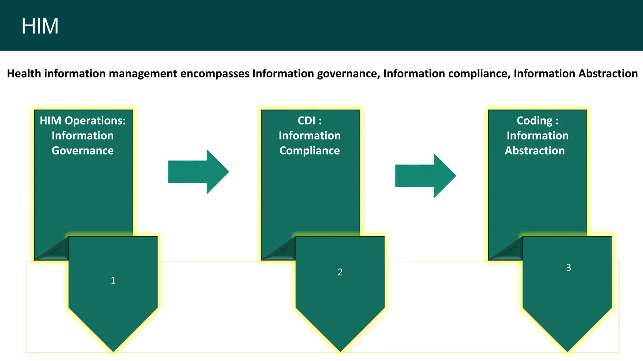 HIM
CDI :
Information
Compliance
Coding :
Information
Abstraction
HIM Operations:
Information
Governance
1
2 3
Health information management encompasses Information governance, Information compliance, Information Abstraction
 