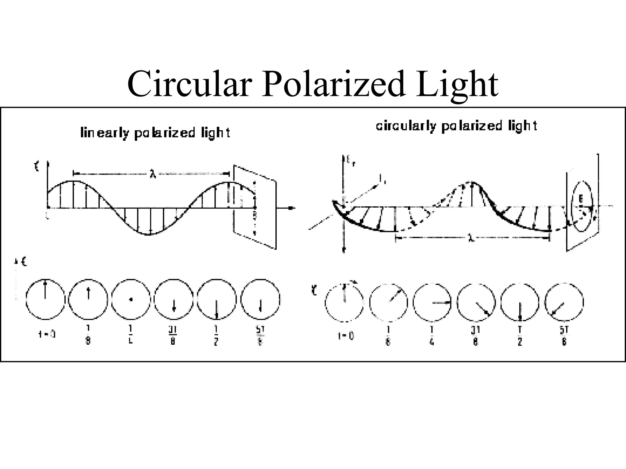 Circular Polarized Light
 