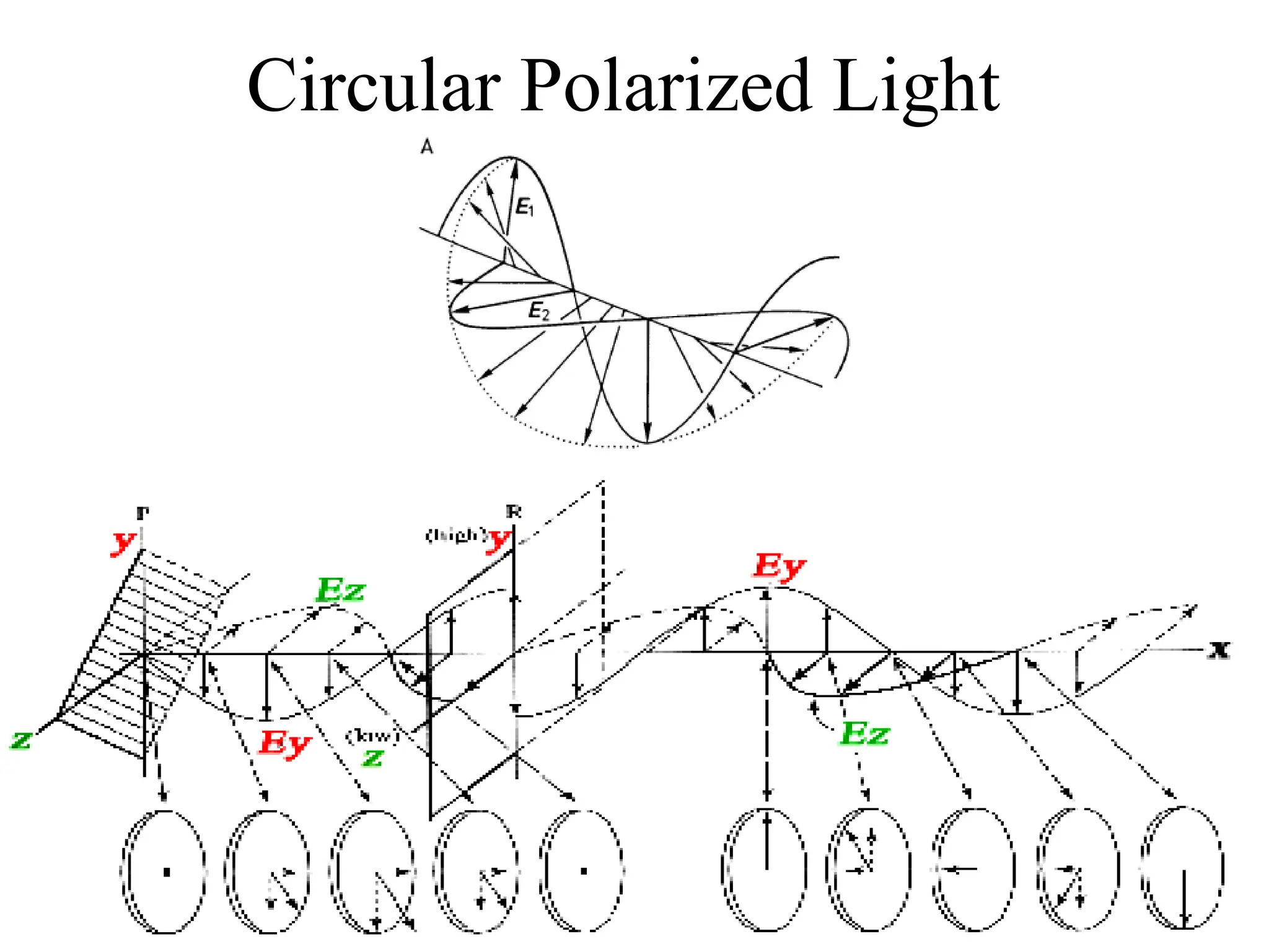 Circular Polarized Light
 