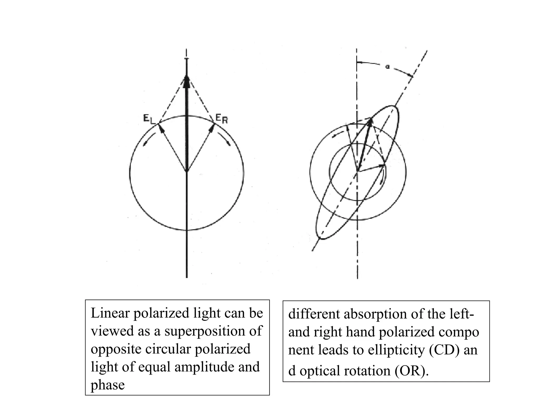 Linear polarized light can be
viewed as a superposition of
opposite circular polarized
light of equal amplitude and
phase
different absorption of the left-
and right hand polarized compo
nent leads to ellipticity (CD) an
d optical rotation (OR).
 