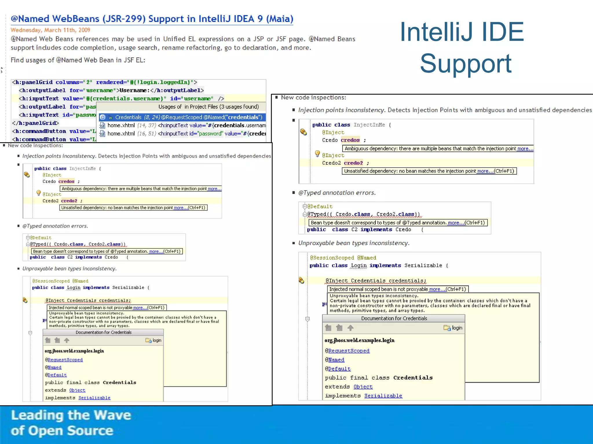 IntelliJ IDE
Support
 