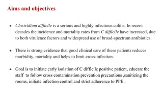 cdiff audit.pptx