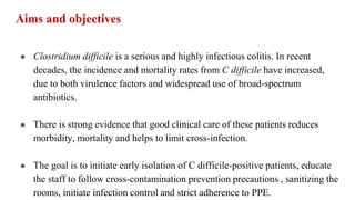 cdiff audit (1).pptx