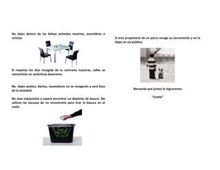No dejes dentro de las bolsas animales muertos, escombros o
cenizas.                                                            Si eres propietario de un perro recoge su excremento y no lo
                                                                    dejes en vía pública.




Si respetas los días recogida de lo contrario nuestras, calles se
convertirán en auténticos basureros.


No dejes aceites, llantas, neumáticos no se recogerán y será foco
de la sociedad.                                                                  Recuerda que juntos lo lograremos

No seas impaciente y espera encontrar un depósito de basura. No                               “Unete”
utilices las excusas de no encontrarla para tirar la basura en el
suelo.
 