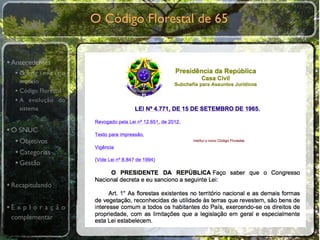 O Código Florestal de 65


• Antecedentes
  •O primeiro
    modelo
  • Código Florestal
  • A evolução do
    sistema


• O SNUC
   • Objetivos
   • Categorias
   • Gestão

• Recapitulando

•E x p l o r a ç ã o
 complementar
 