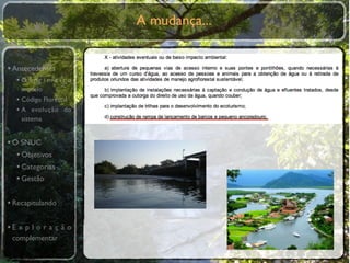 A mudança...


• Antecedentes
  •O primeiro
    modelo
  • Código Florestal
  • A evolução do
    sistema


• O SNUC
   • Objetivos
   • Categorias
   • Gestão

• Recapitulando

•E x p l o r a ç ã o
 complementar
 