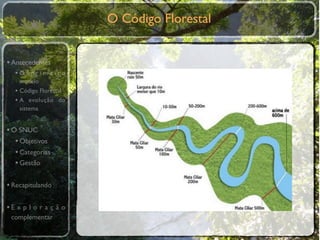 O Código Florestal


• Antecedentes
  •O primeiro
    modelo
  • Código Florestal
  • A evolução do
    sistema


• O SNUC
   • Objetivos
   • Categorias
   • Gestão

• Recapitulando

•E x p l o r a ç ã o
 complementar
 