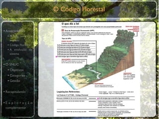 O Código Florestal


• Antecedentes
  •O primeiro
    modelo
  • Código Florestal
  • A evolução do
    sistema


• O SNUC
   • Objetivos
   • Categorias
   • Gestão

• Recapitulando

•E x p l o r a ç ã o
 complementar
 