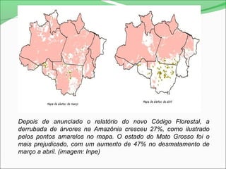 Depois de anunciado o relatório do novo Código Florestal, a
derrubada de árvores na Amazônia cresceu 27%, como ilustrado
pelos pontos amarelos no mapa. O estado do Mato Grosso foi o
mais prejudicado, com um aumento de 47% no desmatamento de
março a abril. (imagem: Inpe)
 