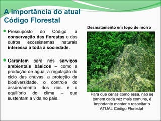 A importância do atual
Código Florestal
Pressuposto do Código: a
conservação das florestas e dos
outros ecossistemas naturais
interessa a toda a sociedade.
Garantem para nós serviços
ambientais básicos – como a
produção de água, a regulação do
ciclo das chuvas, a proteção da
biodiversidade, o controle do
assoreamento dos rios e o
equilíbrio do clima – que
sustentam a vida no país.
Desmatamento em topo de morro
Para que cenas como essa, não se
tornem cada vez mais comuns, é
importante manter e respeitar o
ATUAL Código Florestal
 