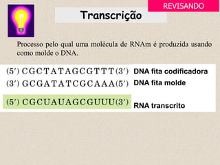 DNA fita codificadora
DNA fita molde
RNA transcrito
Transcrição
Processo pelo qual uma molécula de RNAm é produzida usando
como molde o DNA.
REVISANDO
 