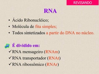 RNA
• Ácido Ribonucléico;
• Molécula de fita simples;
• Todos sintetizados a partir do DNA no núcleo.
É dividido em:
RNA mensageiro (RNAm)
RNA transportador (RNAt)
RNA ribossômico (RNAr)
REVISANDO
 