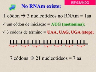 No RNAm existe:
1 códon  3 nucleotídeos no RNAm = 1aa
 um códon de iniciação = AUG (metionina);
 3 códons de término = UAA, UAG, UGA (stop);
7 códons  21 nucleotídeos = 7 aa
REVISANDO
 