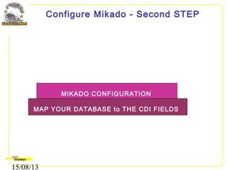 15/08/13
Configure Mikado - Second STEP
MAP YOUR DATABASE to THE CDI FIELDS
MIKADO CONFIGURATION
 