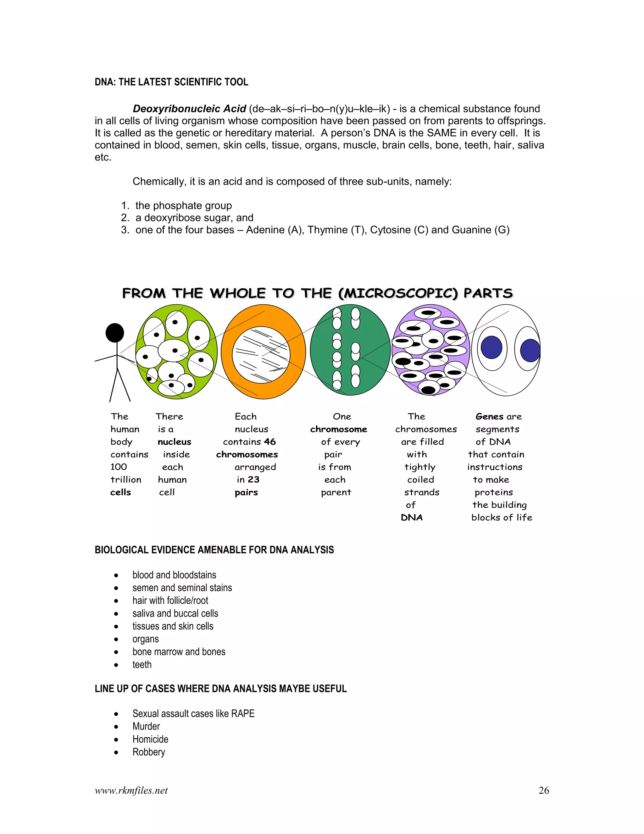 www.rkmfiles.net 26
DNA: THE LATEST SCIENTIFIC TOOL
Deoxyribonucleic Acid (de–ak–si–ri–bo–n(y)u–kle–ik) - is a chemical substance found
in all cells of living organism whose composition have been passed on from parents to offsprings.
It is called as the genetic or hereditary material. A person’s DNA is the SAME in every cell. It is
contained in blood, semen, skin cells, tissue, organs, muscle, brain cells, bone, teeth, hair, saliva
etc.
Chemically, it is an acid and is composed of three sub-units, namely:
1. the phosphate group
2. a deoxyribose sugar, and
3. one of the four bases – Adenine (A), Thymine (T), Cytosine (C) and Guanine (G)
FROM THE WHOLE TO THE (MICROSCOPIC) PARTS
The There Each One The Genes are
human is a nucleus chromosome chromosomes segments
body nucleus contains 46 of every are filled of DNA
contains inside chromosomes pair with that contain
100 each arranged is from tightly instructions
trillion human in 23 each coiled to make
cells cell pairs parent strands proteins
of the building
DNA blocks of life
BIOLOGICAL EVIDENCE AMENABLE FOR DNA ANALYSIS
 blood and bloodstains
 semen and seminal stains
 hair with follicle/root
 saliva and buccal cells
 tissues and skin cells
 organs
 bone marrow and bones
 teeth
LINE UP OF CASES WHERE DNA ANALYSIS MAYBE USEFUL
 Sexual assault cases like RAPE
 Murder
 Homicide
 Robbery
 