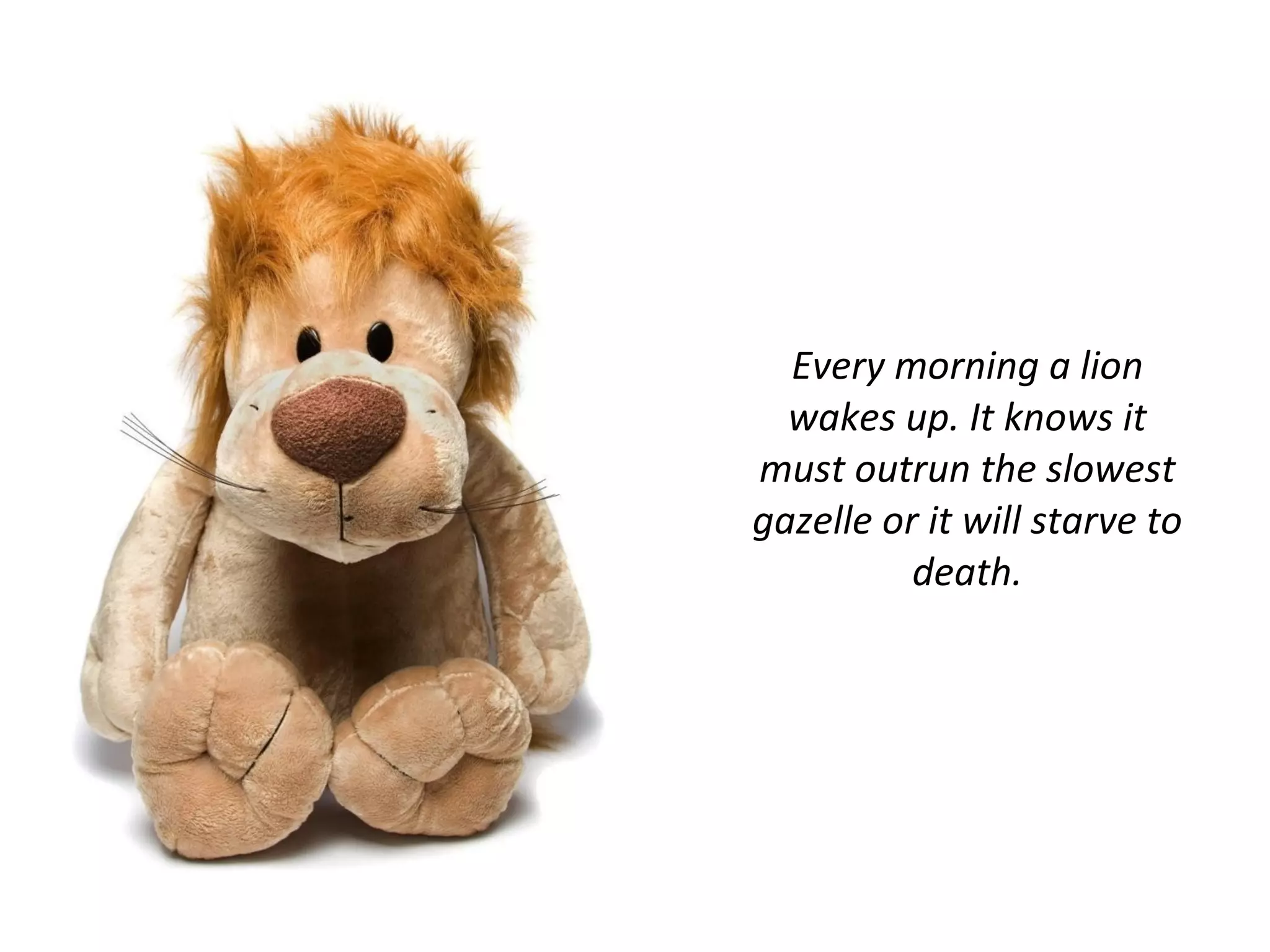 Every morning a lion wakes up. It knows it must outrun the slowest gazelle or it will starve to death. 