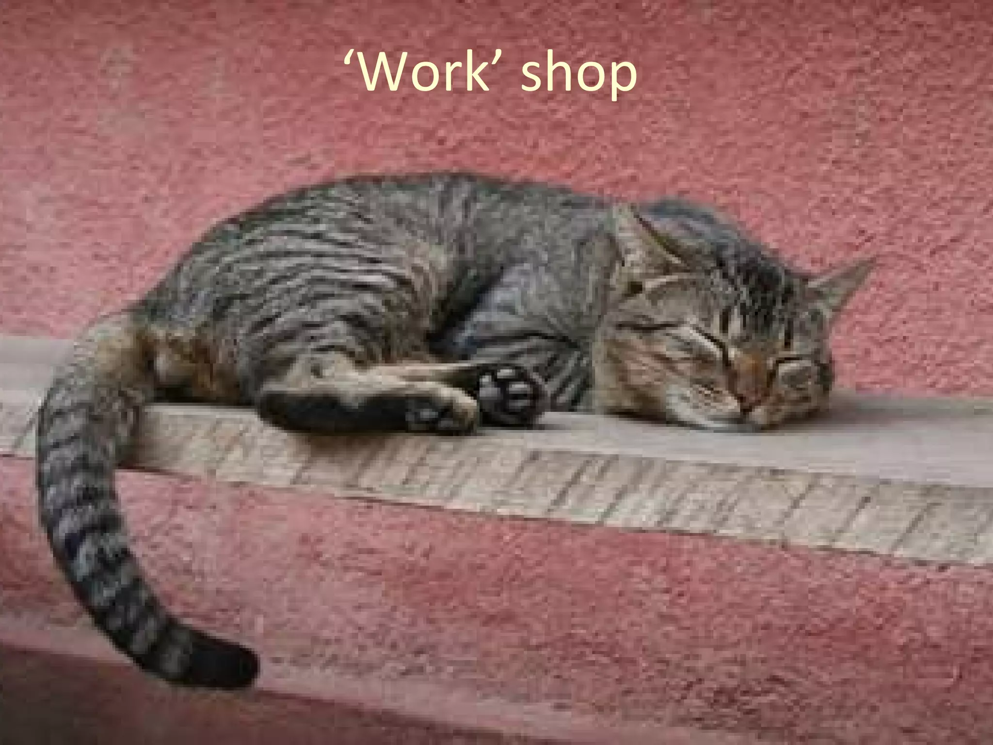 ‘ Work’ shop  