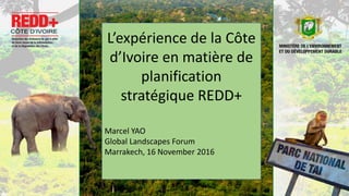 L’expérience de la Côte
d’Ivoire en matière de
planification
stratégique REDD+
Marcel YAO
Global Landscapes Forum
Marrakech, 16 November 2016
 