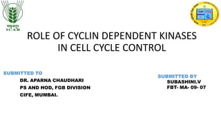 ROLE OF CYCLIN DEPENDENT KINASES
IN CELL CYCLE CONTROL
SUBMITTED TO
DR. APARNA CHAUDHARI
PS AND HOD, FGB DIVISION
CIFE, MUMBAI.
SUBMITTED BY
SUBASHINI.V
FBT- MA- 09- 07
 