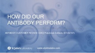 HOW DID OUR
ANTIBODY PERFORM?
ANTIBODY CUSTOMER REVIEW: CDK2 Polyclonal Antibody (STJ92197)
 