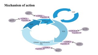 Cdk 4-6 inhibitors in breast cancer with their unique features and ...