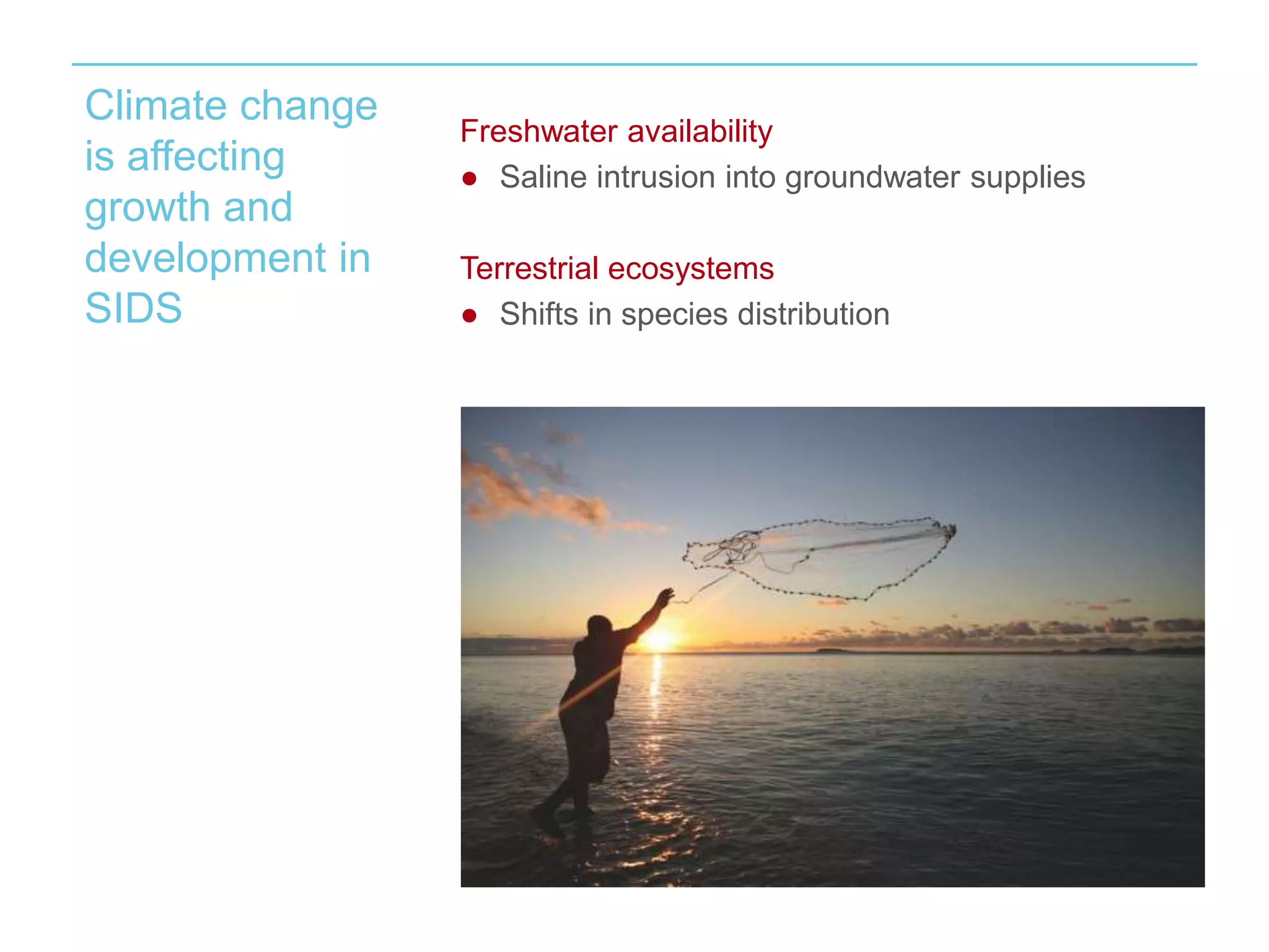 Climate change 
is affecting 
growth and 
development in 
SIDS 
Freshwater availability 
● Saline intrusion into groundwater supplies 
Terrestrial ecosystems 
● Shifts in species distribution 
 