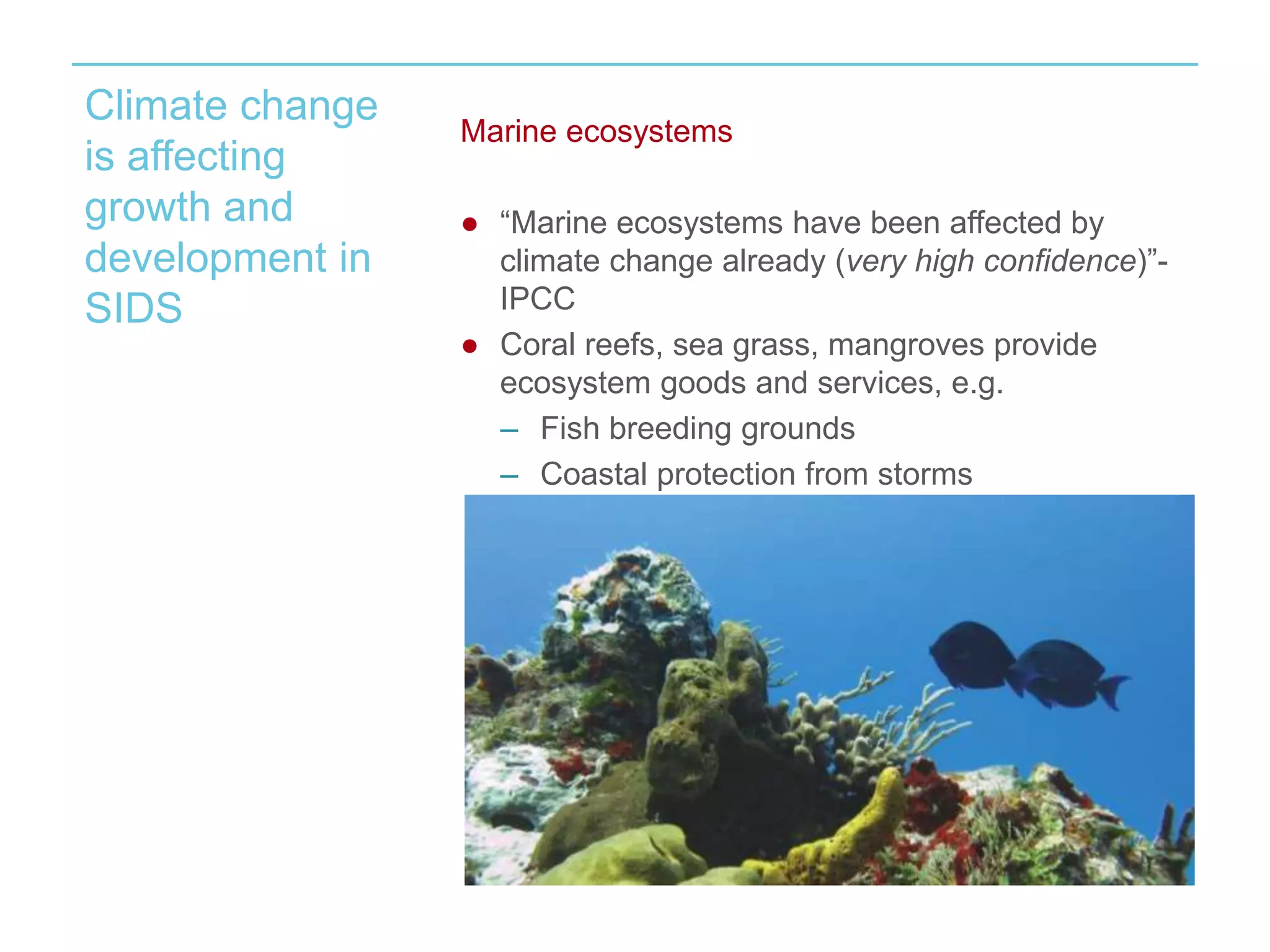 Climate change 
is affecting 
growth and 
development in 
SIDS 
Marine ecosystems 
● “Marine ecosystems have been affected by 
climate change already (very high confidence)”- 
IPCC 
● Coral reefs, sea grass, mangroves provide 
ecosystem goods and services, e.g. 
– Fish breeding grounds 
– Coastal protection from storms 
 