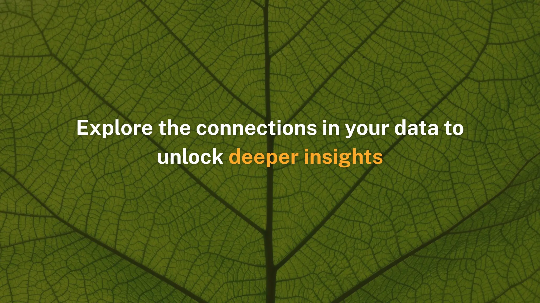 Explore the connections in your data to
unlock deeper insights
 