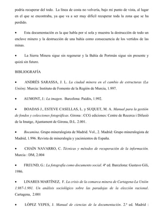 podría recuperar del todo. La línea de costa no volvería, bajo mi punto de vista, al lugar
en el que se encontraba, ya que va a ser muy difícil recuperar toda la zona que se ha
perdido.
• Esta documentación es la que habla por sí sola y muestra la destrucción de todo un
enclave minero y la destrucción de una bahía como consecuencia de los vertidos de las
minas.
• La Sierra Minera sigue sin regenerar y la Bahía de Portmán sigue sin presente y
quizá sin futuro.
BIBLIOGRAFÍA
• ANDRÉS SARASSA, J. L. La ciudad minera en el cambio de estructuras (La
Unión). Murcia: Instituto de Fomento de la Región de Murcia, 1.997.
• AUMONT, J.: La imagen. Barcelona: Paidós, 1.992.
• BOADAS J., ESTEVE CASELLAS, L. y SUQUET, M. A. Manual para la gestión
de fondos y colecciones fotográficas. Girona : CCG ediciones: Centre de Recerca i Difusió
de la Imatge, Ajuntament de Girona, D.L. 2.001.
• Bocamina. Grupo mineralogista de Madrid. Vol., 2. Madrid: Grupo mineralogista de
Madrid, 1.996. Revista de mineralogía y yacimientos de España.
• CHAÍN NAVARRO, C. Técnicas y métodos de recuperación de la información.
Murcia : DM, 2.004
• FREUND, G.: La fotografía como documento social. 4ª ed. Barcelona: Gustavo Gili,
1986.
• LINARES MARTÍNEZ, F. La crisis de la comarca minera de Cartagena-La Unión
1.987-1.991. Un análisis sociológico sobre las paradojas de la elección racional.
Cartagena, 2.001
• LÓPEZ YEPES, J. Manual de ciencias de la documentación. 2.ª ed. Madrid :
 