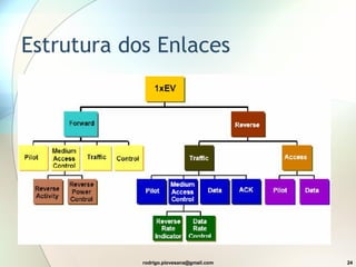Estrutura dos Enlaces 