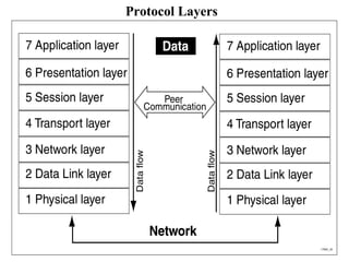 Protocol Layers 
 