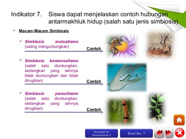 Cd mahir ipa sd