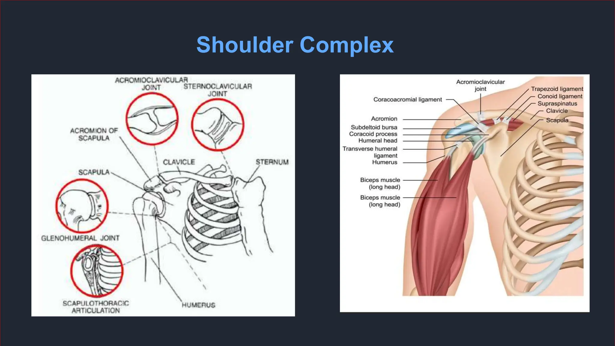 Clinical Decision Making for Shoulder Related Conditions | PPTX