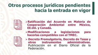 Otros procesos jurídicos pendientes
hacia la entrada en vigor
Ratificación del Acuerdo en Materia de
Cooperación Ambiental entre México,
EE.UU. y Canadá.
Modificaciones a legislaciones para
hacerlas compatibles con el TMEC.
 Decreto Promulgatorio, Decreto de Tasas y
otros instrumentos administrativos.
Publicación en el Diario Oficial de la
Federación.
 