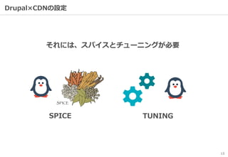 13
Drupal×CDNの設定
それには、スパイスとチューニングが必要
SPICE TUNING
 