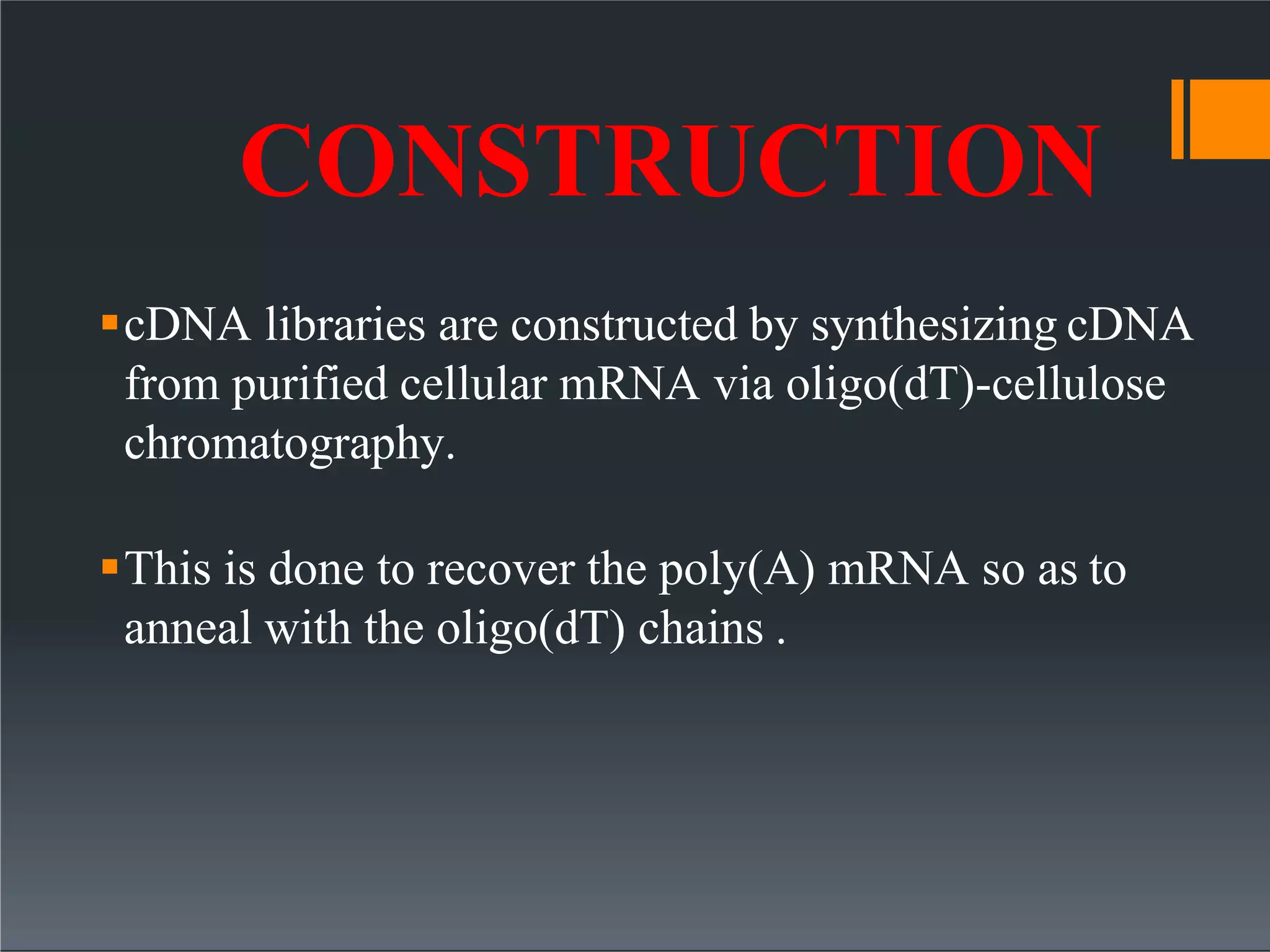 CONSTRUCTION
cDNA libraries are constructed by synthesizing cDNA
from purified cellular mRNA via oligo(dT)-cellulose
chromatography.
This is done to recover the poly(A) mRNA so as to
anneal with the oligo(dT) chains .
 
