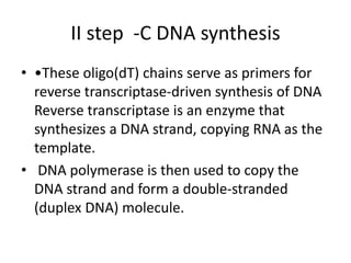 C dna library | PPT