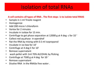 Contans Isolate C dna library | PPT