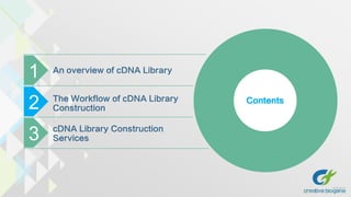 Contents
An overview of cDNA Library
The Workflow of cDNA Library
Construction
cDNA Library Construction
Services
1
2
3
 