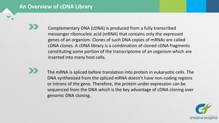 Complementary DNA (cDNA) is produced from a fully transcribed
messenger ribonucleic acid (mRNA) that contains only the expressed
genes of an organism. Clones of such DNA copies of mRNAs are called
cDNA clones. A cDNA library is a combination of cloned cDNA fragments
constituting some portion of the transcriptome of an organism which are
inserted into many host cells.
An Overview of cDNA Library
The mRNA is spliced before translation into protein in eukaryotic cells. The
DNA synthesized from the spliced mRNA doesn't have non-coding regions
or introns of the gene. Therefore, the protein under expression can be
sequenced from the DNA which is the key advantage of cDNA cloning over
genomic DNA cloning.
 